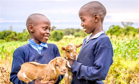 donate a goat world vision.